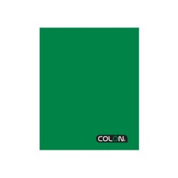 CUADERNO COLLEGE COLON LISO CALIGRAFIA VERTICAL 80H